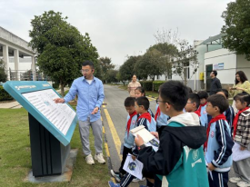 1762240525979187.png image.png